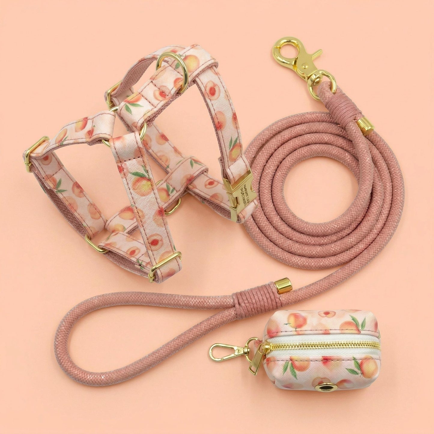 Personalized Dog Collar Set | Pink Peach Pattern | Braided Nylon Rope Leash