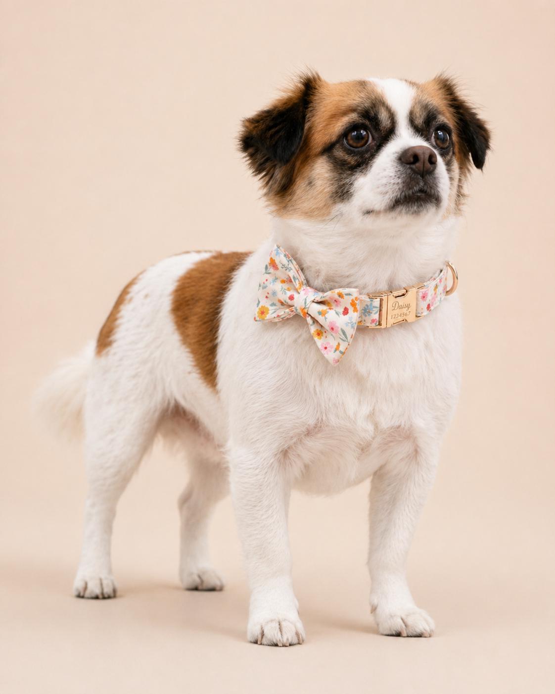 Spring Floral Dog Collar, Optional Matching Bow Tie, Leash, Personalized Engraved Pet Collar Set, Custom Garden Puppy Collar Gift