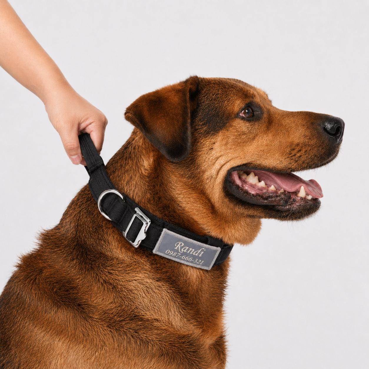 Tactical Dog Collar, Lightweight 1.5" Wide Nylon with Reflective Custom Name Sticker&Trim, Heavy Duty Bungee Leash with Car Seat Attachment