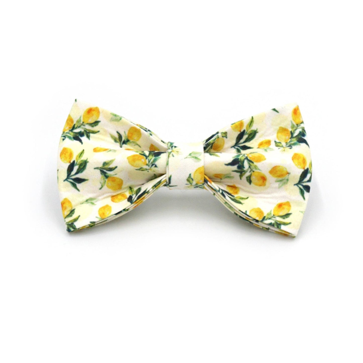 Lemon Print Dog Harness Set | Personalized Collar, Leash, Poop Bag Holder | Braided Nylon Rope