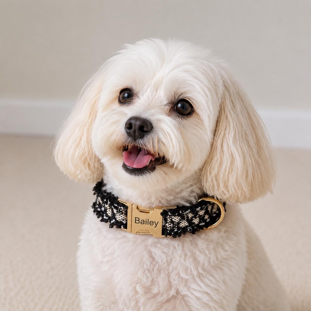 Black Tweed Dog Harness Optional Leash Set with Frayed Trim, Personalised Chunky Boucle Collar | Engraved Gold Buckle XS S M L XL