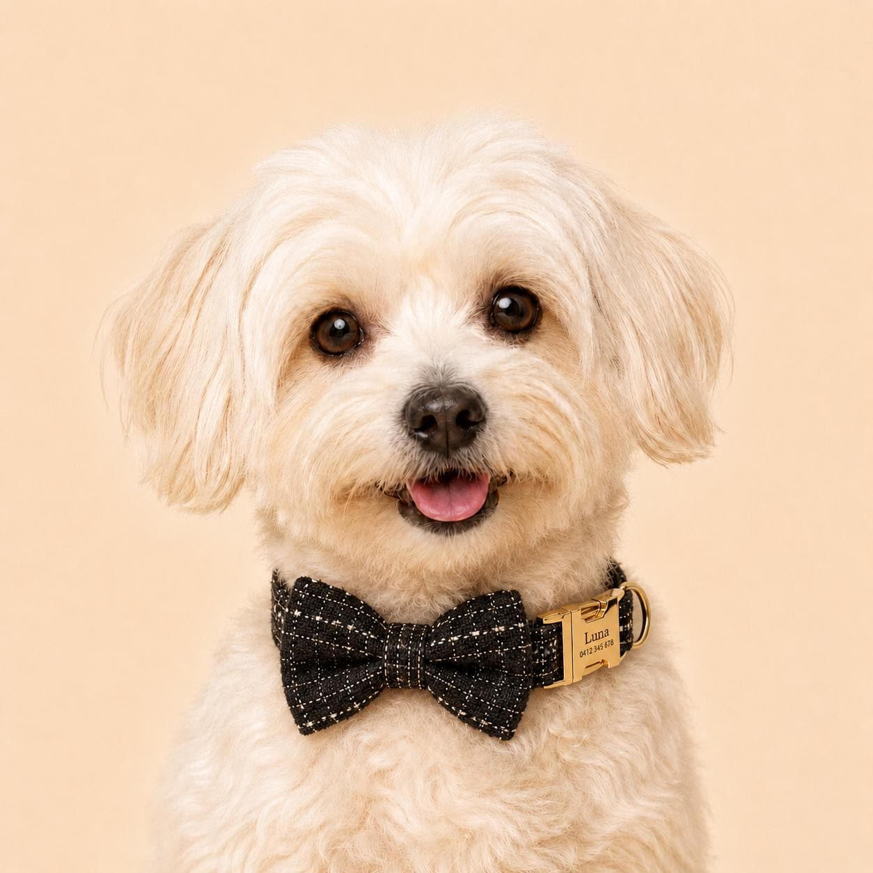 Black Tweed Dog Harness Set, Personalised Luxury Boucle Collar Leash Bow Tie | Engraved Gold Buckle Mix & Match XS S M L XL