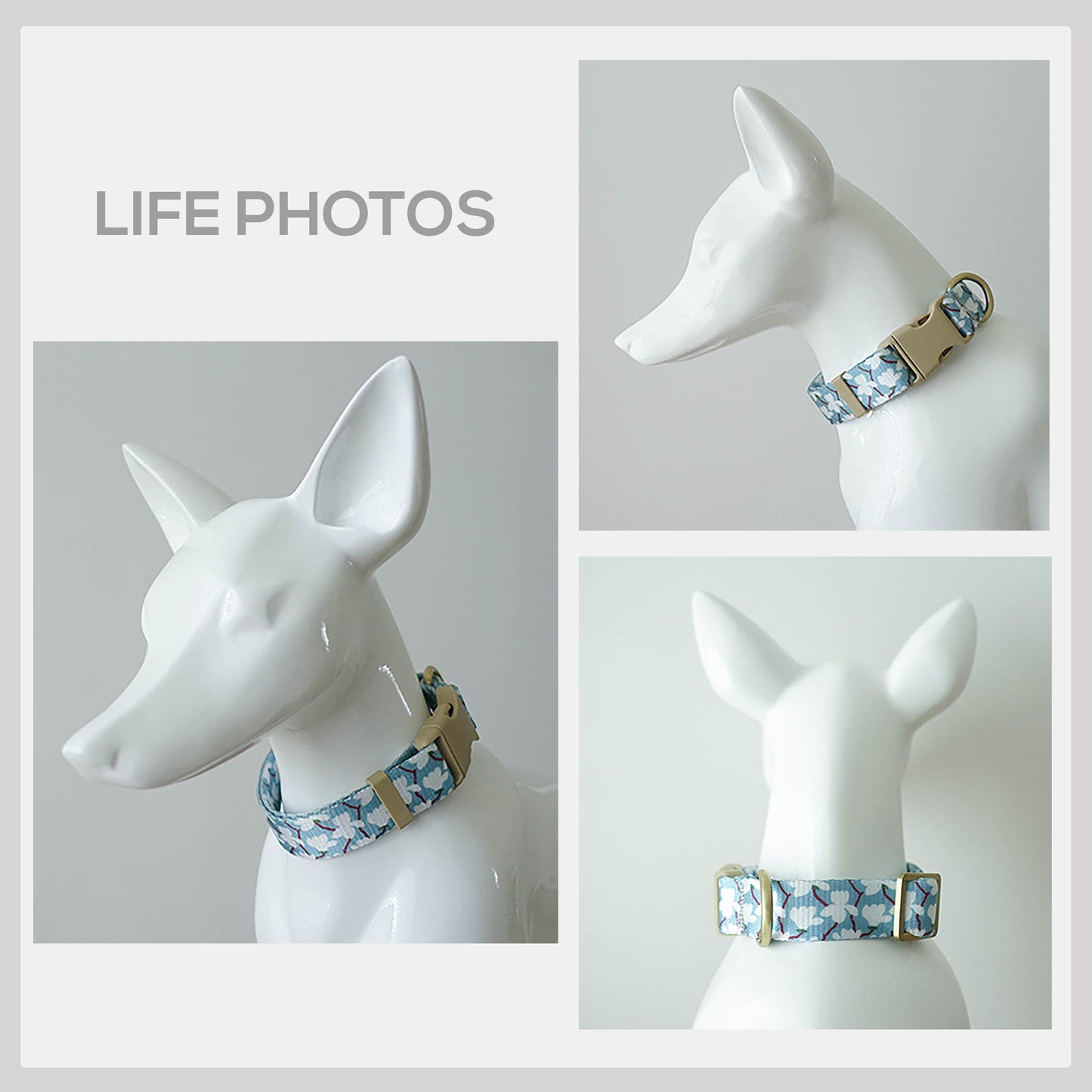 Sky Blue Gardenia Dog Collar and Leash Set, Personalized Engraved Buckle