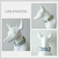 Sky Blue Gardenia Dog Collar and Leash Set, Personalized Engraved Buckle