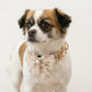 Personalized Lace Dog Collar with Engraved Buckle, Bowtie and Leash Set