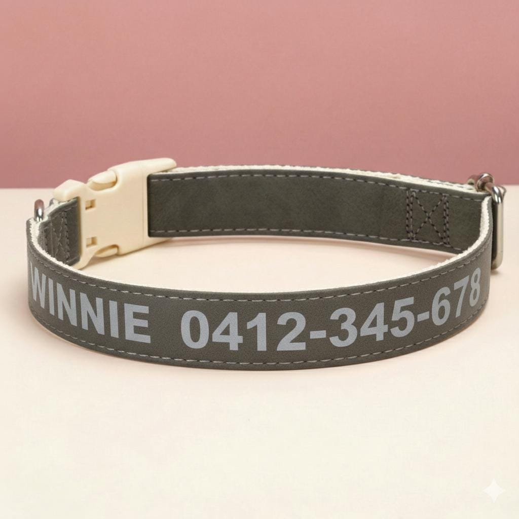 Reflective Custom Dog Collar | PU Leather Nylon | Personalized Pet Name ID