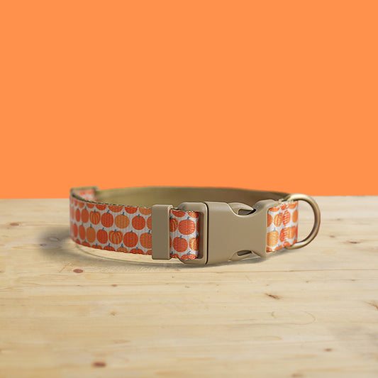Harvest Pumpkin Dog Collar and Leash Set, Personalized Engraved Buckle, Nylon Fabric