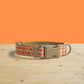 Harvest Pumpkin Dog Collar and Leash Set, Personalized Engraved Buckle, Nylon Fabric