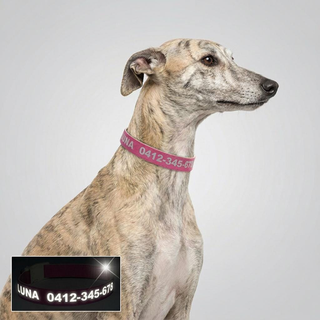 Custom Reflective Dog Collar | PU Leather, No Metal, Lightweight Pet ID