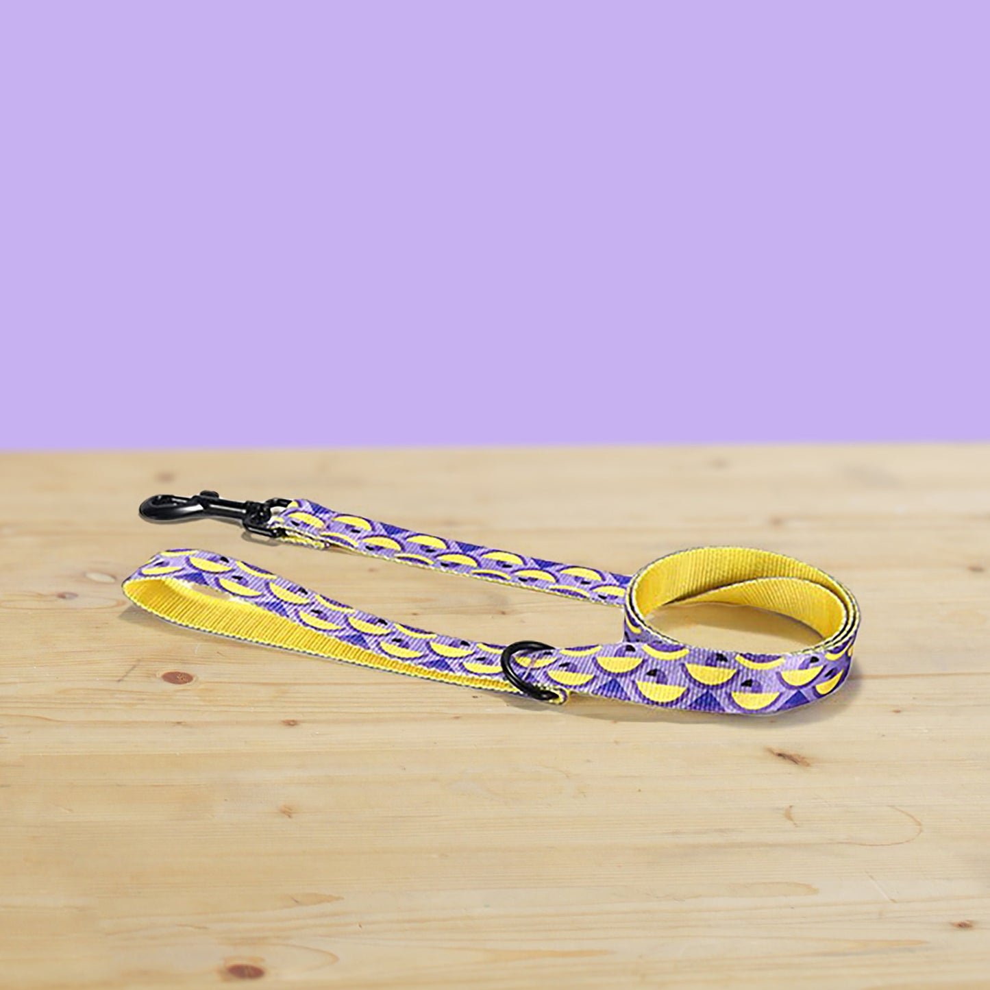 Personalized Purple Parrot Dog Collar with Engraved Buckle, Lightweight Nylon Leash