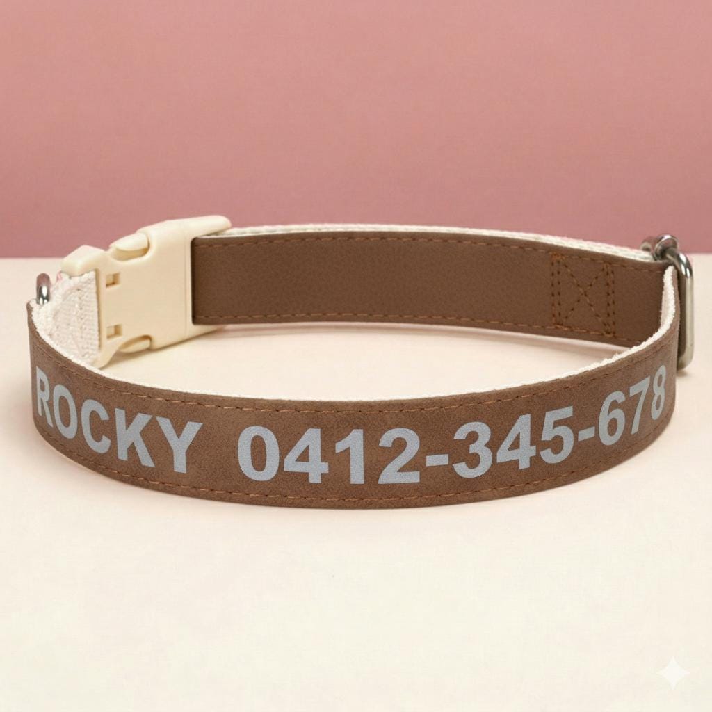 Custom Reflective Dog Collar | PU Leather, No Metal, Lightweight Pet ID