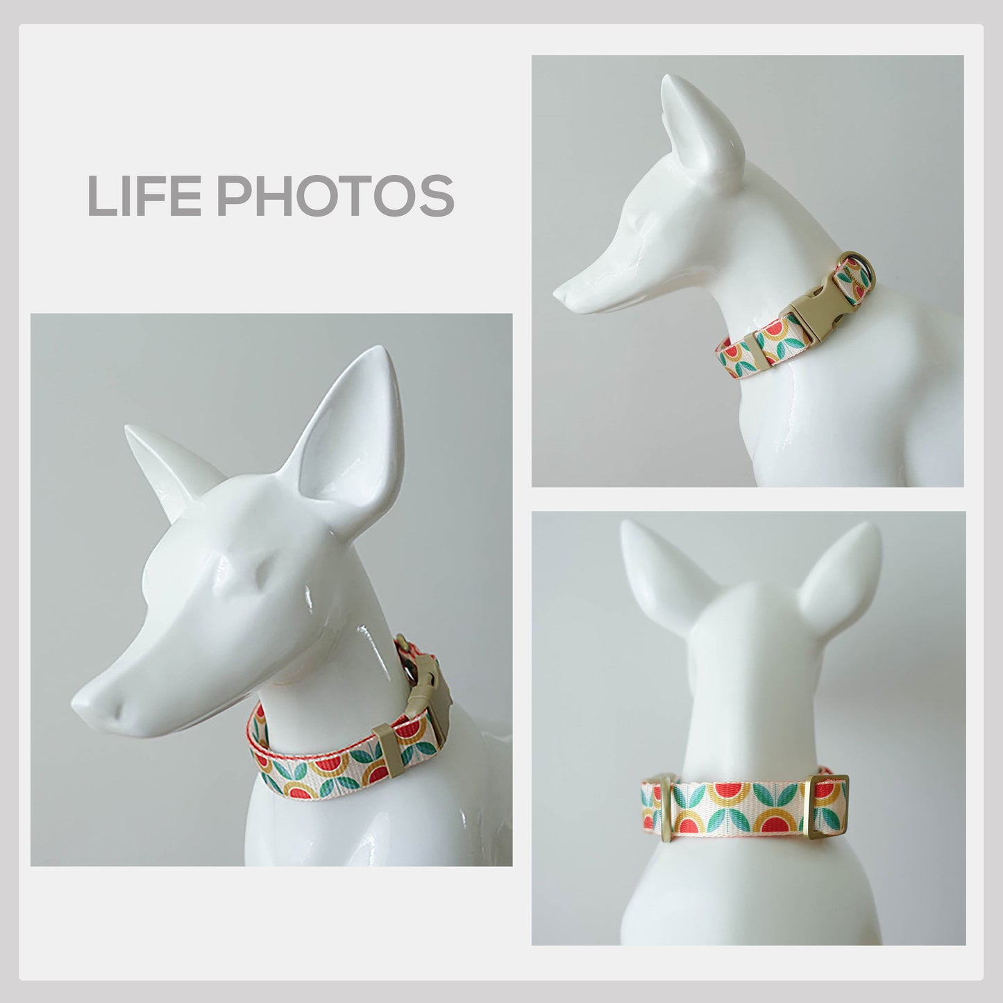 Personalized Floral Dog Collar Set, Engraved Buckle, Leash, Bowtie, Tea Flower Design