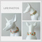 Personalized Floral Dog Collar Set, Engraved Buckle, Leash, Bowtie, Tea Flower Design