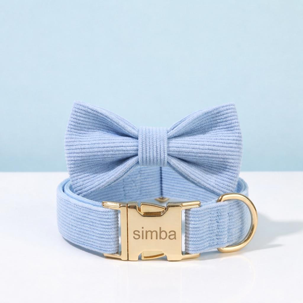 Personalized Pink Corduroy Dog Collar and Leash Set, Gold Buckle, Bowtie Bag