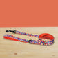 Neon Plaid Dog Collar, Leash, Bowtie Set: Personalized Nylon Pet Accessories