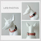 Golden Autumn Dog Collar Leash Bowtie Set: Personalized Engraved Buckle, Lightweight Nylon Pet Accessories