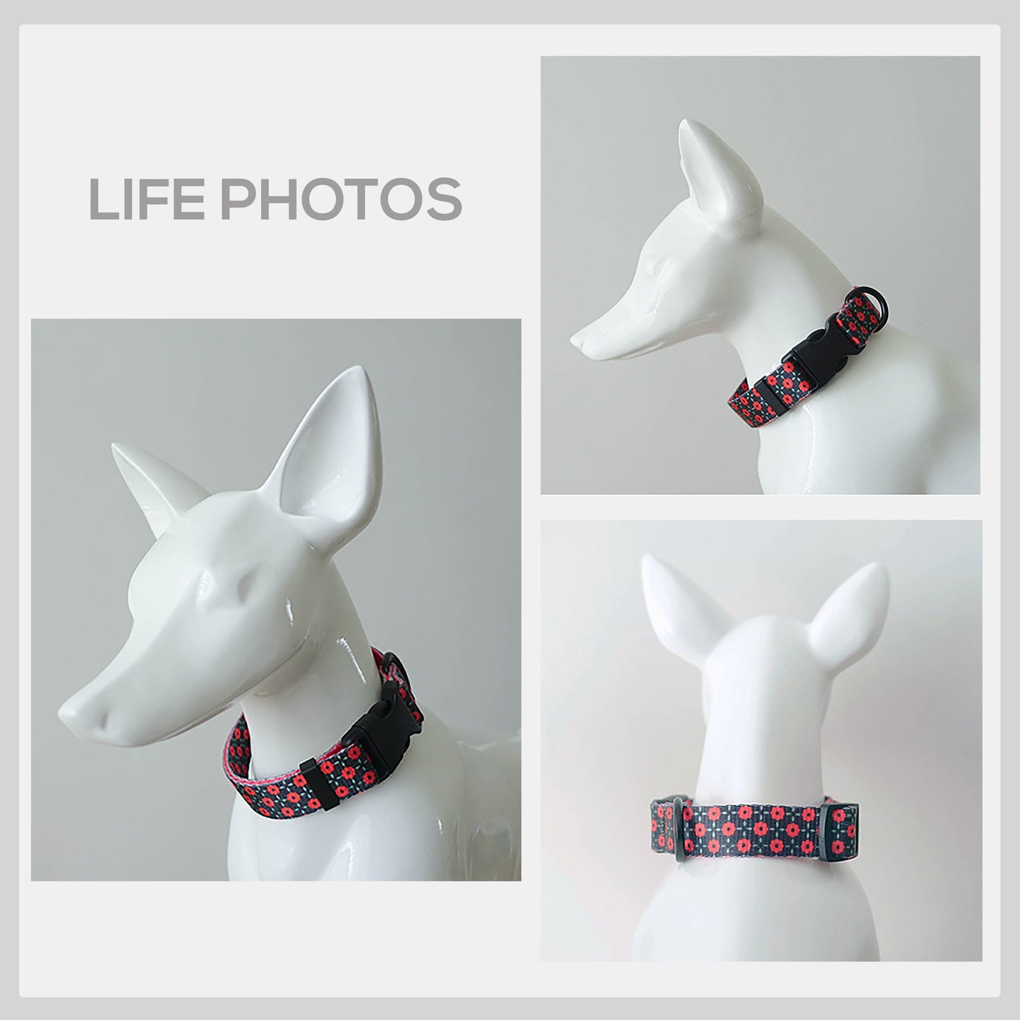 Personalized Red Daisy Dog Collar and Leash Set, Engraved Buckle, Nylon Fabric
