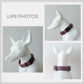 Personalized Red Daisy Dog Collar and Leash Set, Engraved Buckle, Nylon Fabric