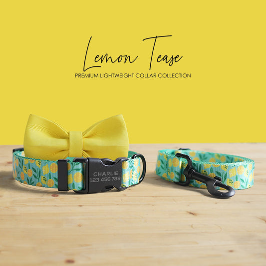 Lemon Tease Dog Collar and Leash Set, Personalized Engraved Buckle, Nylon Fabric, Handmade