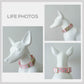 Pink Dandelion Dog Collar Leash, Personalized Engraved Name Buckle, Nylon Fabric, Handmade Pet Accessory
