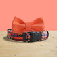 Personalized Halloween Dog Collar and Leash Set, Engraved Name Buckle