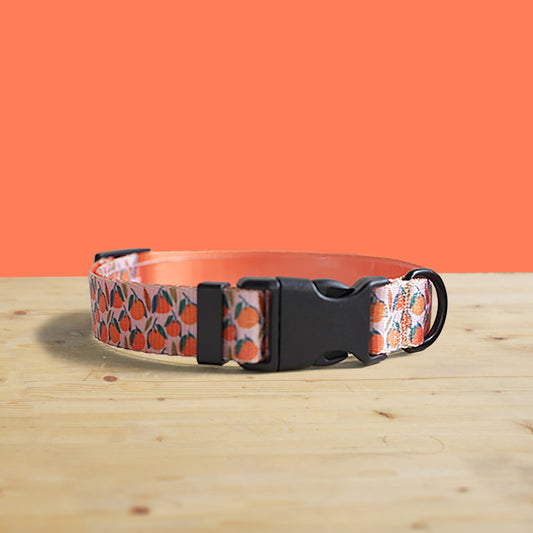 Orange Basket Dog Collar and Leash Set, Personalized Engraved Name Buckle