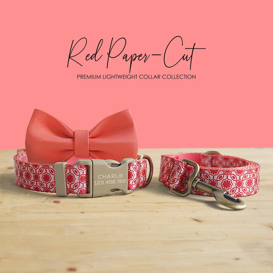 Personalized Nylon Dog Collar, Leash, Bowtie with Engraved Name Buckle