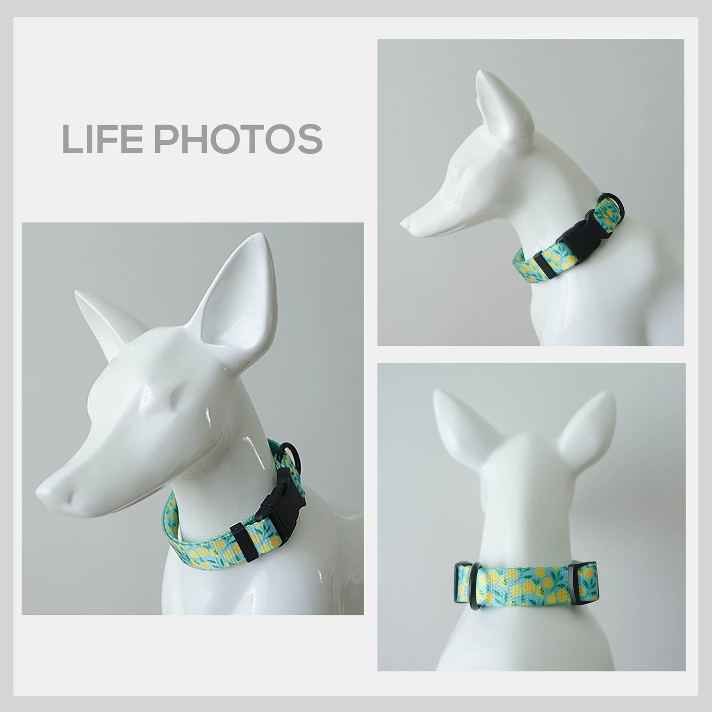 Lemon Tease Dog Collar and Leash Set, Personalized Engraved Buckle, Nylon Fabric, Handmade