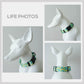 Lemon Tease Dog Collar and Leash Set, Personalized Engraved Buckle, Nylon Fabric, Handmade