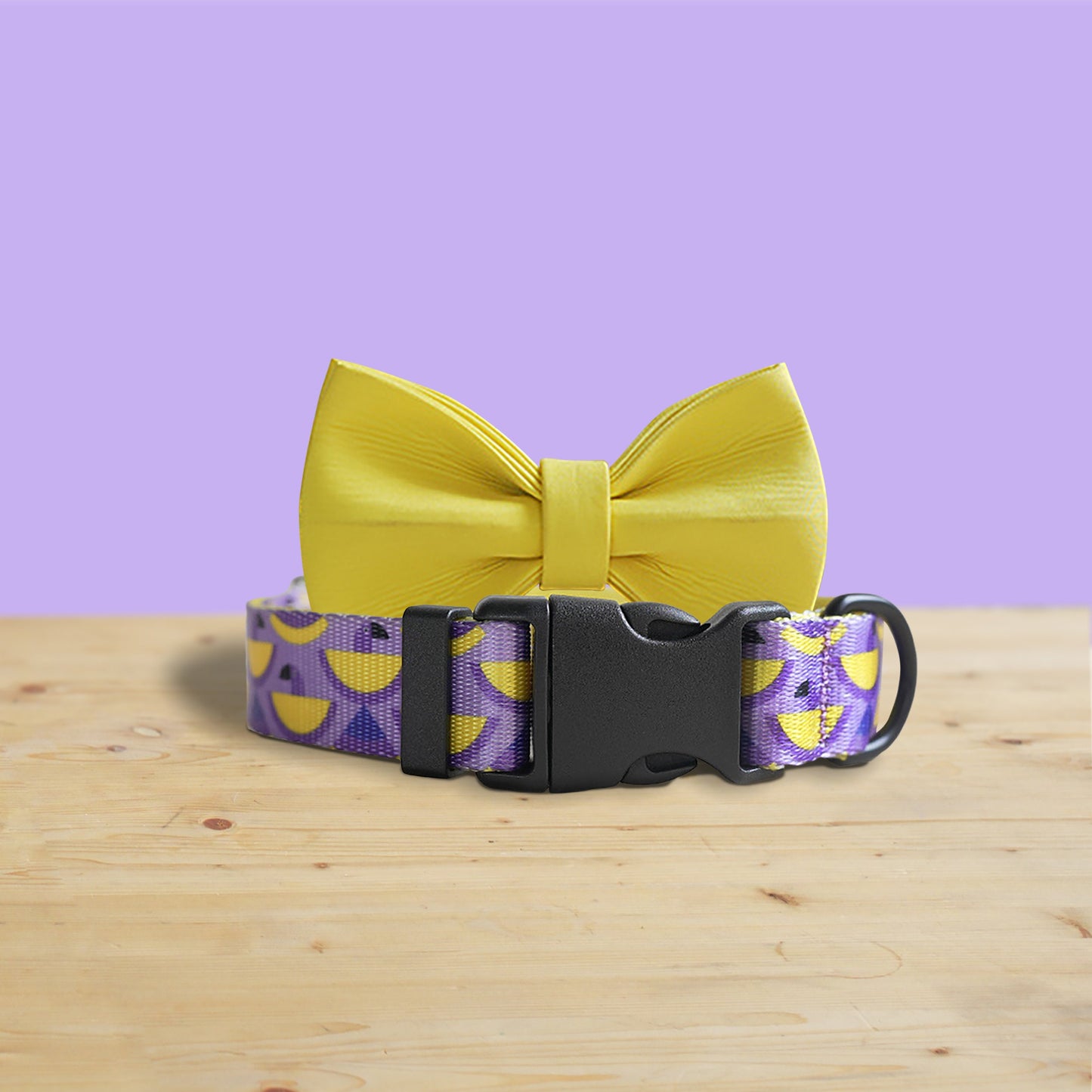 Personalized Purple Parrot Dog Collar with Engraved Buckle, Lightweight Nylon Leash