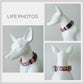 Neon Plaid Dog Collar, Leash, Bowtie Set: Personalized Nylon Pet Accessories