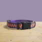 Personalized Dog Collar and Leash Set, Engraved Name Buckle, Nylon Fabric, Lightweight Dog Accessories