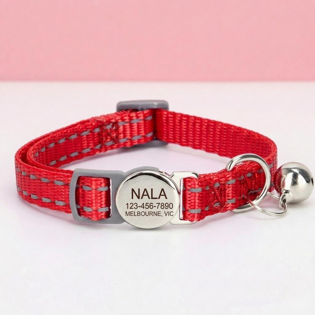 Custom Engraved Kitten Collar | Breakaway Safety Buckle, Adjustable Nylon Pet ID Tag