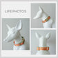 Big Waves Orange Dog Collar and Leash Set, Personalized Name Buckle, Nylon Fabric