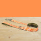 Harvest Pumpkin Dog Collar and Leash Set, Personalized Engraved Buckle, Nylon Fabric