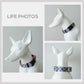 Blue Kaleidoscope Dog Collar, Leash, Personalized Engraved Buckle, Nylon Fabric, Handmade Pet Accessory