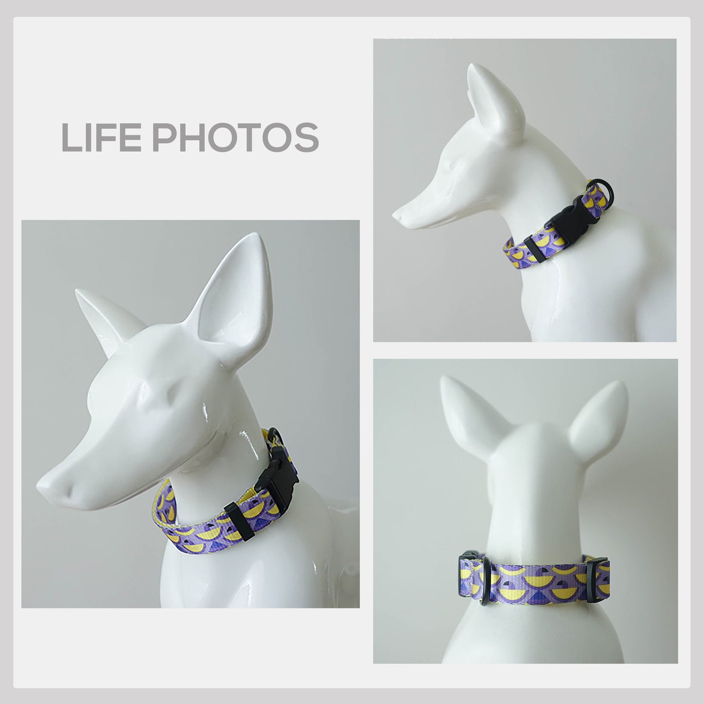 Personalized Purple Parrot Dog Collar with Engraved Buckle, Lightweight Nylon Leash