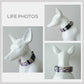 Personalized Purple Parrot Dog Collar with Engraved Buckle, Lightweight Nylon Leash