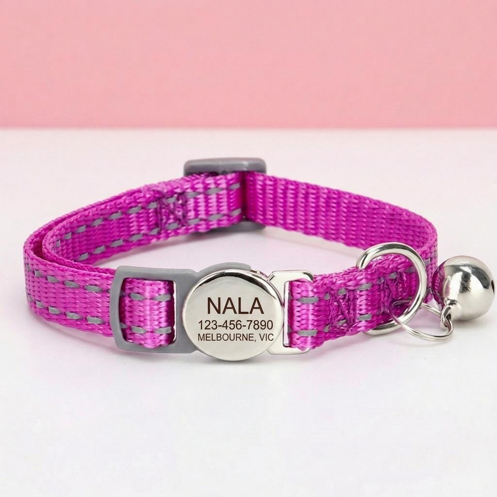 Custom Engraved Kitten Collar | Breakaway Safety Buckle, Adjustable Nylon Pet ID Tag