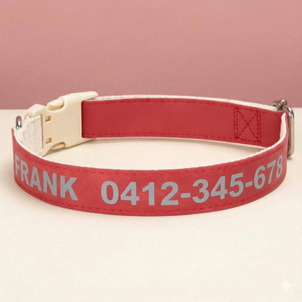 Custom Reflective Dog Collar | PU Leather, No Metal, Lightweight Pet ID