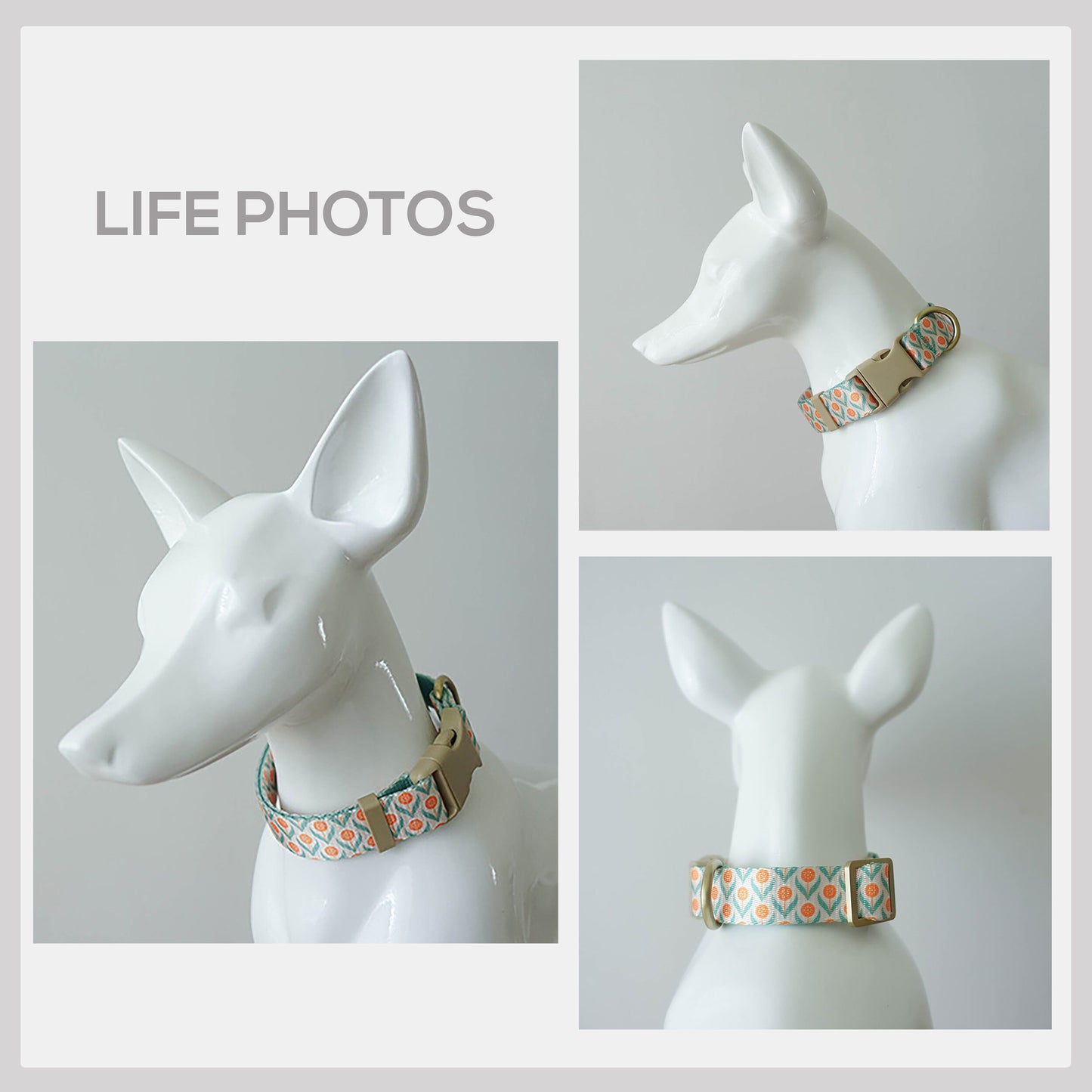 Personalized Poached Egg Plant Dog Collar and Leash Set, Engraved Buckle