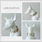 Personalized Poached Egg Plant Dog Collar and Leash Set, Engraved Buckle