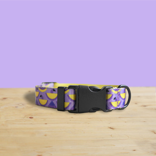 Personalized Purple Parrot Dog Collar with Engraved Buckle, Lightweight Nylon Leash