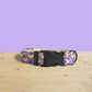 Personalized Purple Parrot Dog Collar with Engraved Buckle, Lightweight Nylon Leash