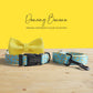 Personalized Dog Collar and Leash Set, Dancing Banana Pattern, Engraved Name Buckle