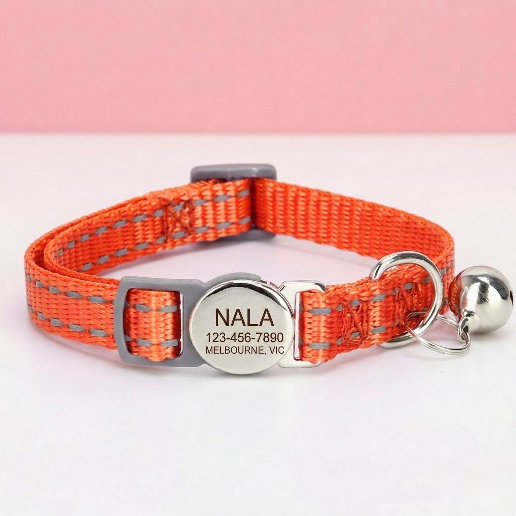 Personalized Reflective Cat Collar | Multicolour Nylon Custom ID Collar | Adjustable 20-30cm