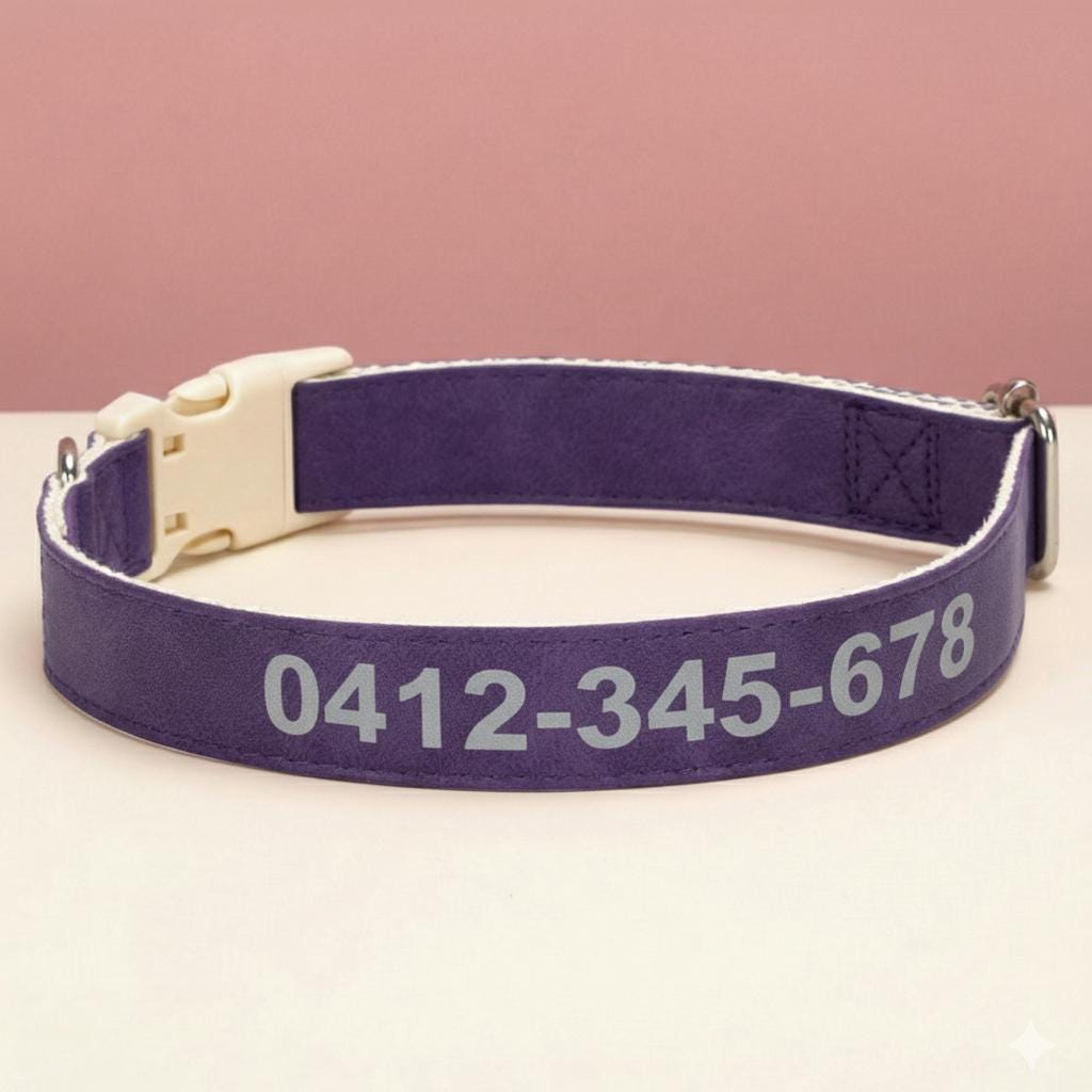 Custom Reflective Dog Collar | PU Leather, No Metal, Lightweight Pet ID