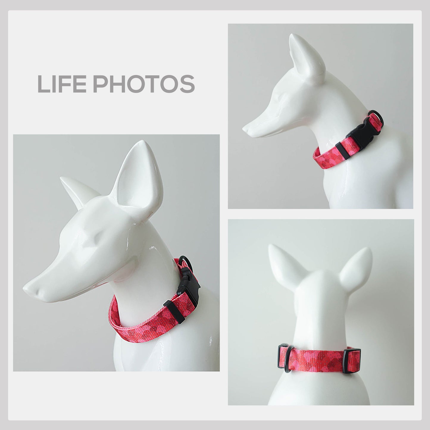 Personalized Strawberry Jelly Dog Collar and Leash Set, Engraved Name Buckle