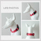 Personalized Strawberry Jelly Dog Collar and Leash Set, Engraved Name Buckle