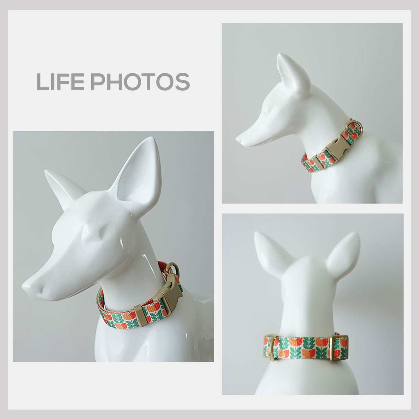 Flowering Tulip Dog Collar, Personalized Engraved Name Buckle, Nylon Leash Set
